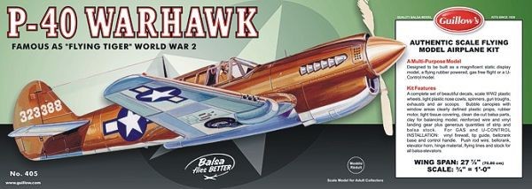 P-40 Warhawk Bausatz